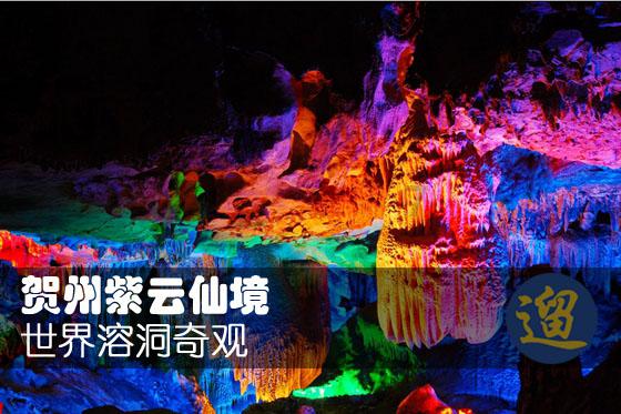 狗狗不能吃的十大水果